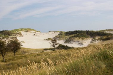 Hollanda 'daki kum tepeleri, Haamstede, Zeeland.