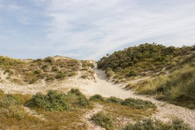 Hollanda 'daki kum tepeleri, Haamstede, Zeeland.