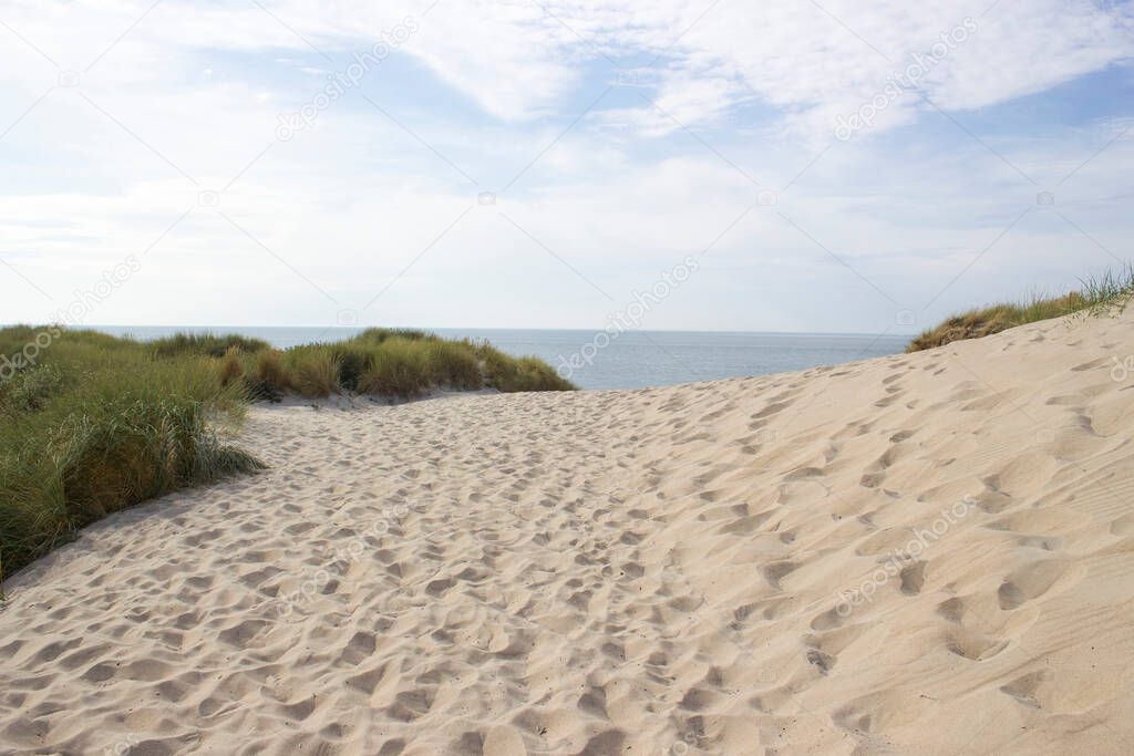 the dunes, Haamstede, Zeeland in the Netherlands