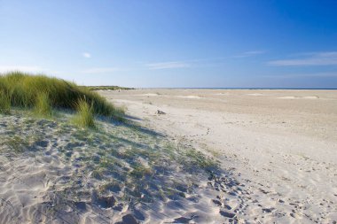 Kum tepeleri, Renesse, Zeeland, Hollanda