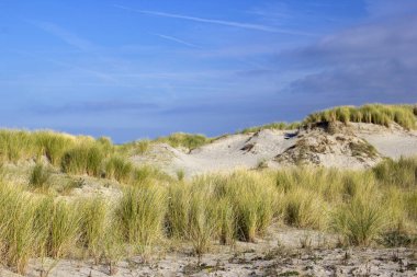 Kum tepeleri, Renesse, Zeeland, Hollanda