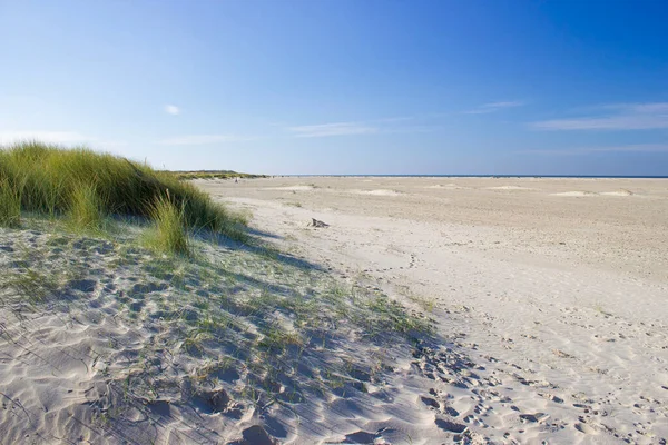 Duny Renesse Zeeland Nizozemsko — Stock fotografie