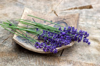 Kil tabakta bir demet lavanta çiçeği