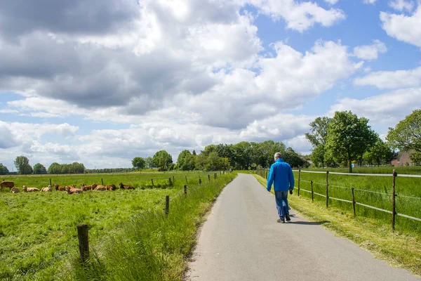 Alman kırsal alanı, Almanya 'nın Aşağı Ren Bölgesi
