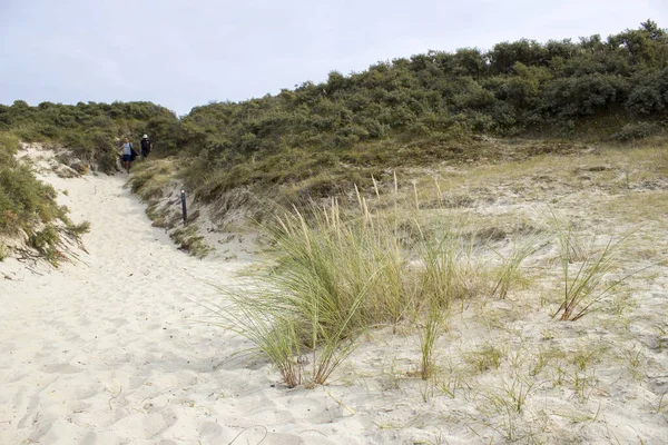 Haamstede Deki Kum Tepeleri Manzarası Hollanda Daki Zeeland — Stok fotoğraf