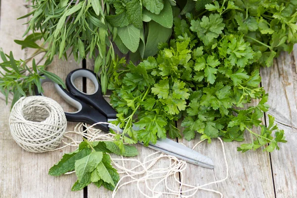 Freshly Harvested Herbs Scissors String Wooden Background — Stock Photo, Image
