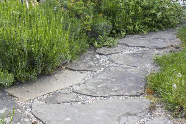 Bahçedeki çiçek tarhı - güller, lavanta çiçekleri ve taş yol