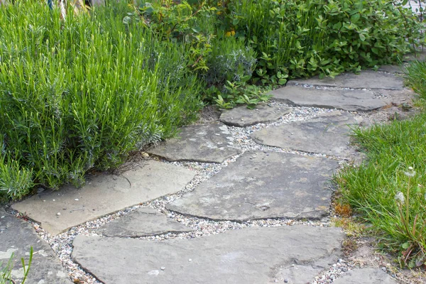 Bahçedeki çiçek tarhı - güller, lavanta çiçekleri ve taş yol