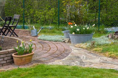 Kırsal bahçe - açan bahar çiçekleri - narsis çiçekleri ve laleler