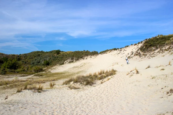 Dunes Haamstede Zeeland Netherlands — Stockfoto