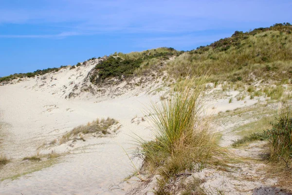 Haamstede 'deki kum tepeleri, Zeeland, Hollanda