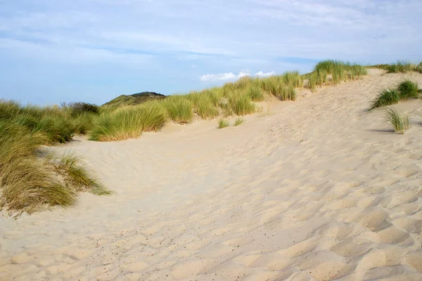 オランダのゼーランド州ハムステードにある砂丘は — ストック写真