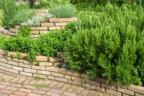 Herb Spiral Garden Fresh Herbs — Stock Photo, Image