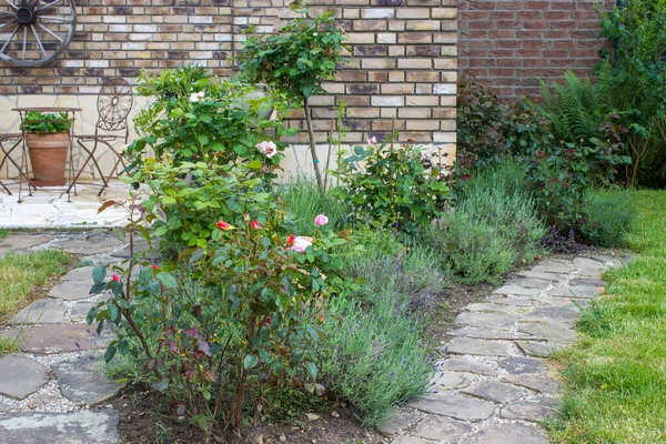 Macizo Flores Jardín Rosas Flores Lavanda — Foto de Stock