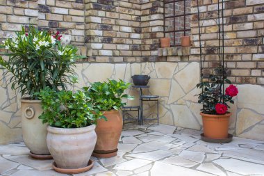 Bahçede güzel bir yer Akdeniz tarzı, tuğla duvar ve çiçekli saksılar.