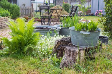 Kırsal bahçe - eğreltiotu, teneke küvette bitkiler, sandalyeler ve masa