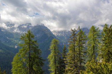 Avusturya 'daki Lienz Dolomitlerinin manzarası. Büyük Alp dağları. Doğu Tyrol