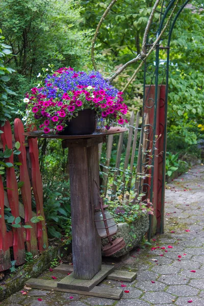 Beau Jardin Rustique Fleurs Fleuries Pot — Photo