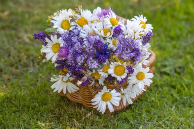 Sepetteki kır çiçekleri - yaz zamanı