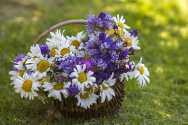 Sepetteki kır çiçekleri - yaz zamanı