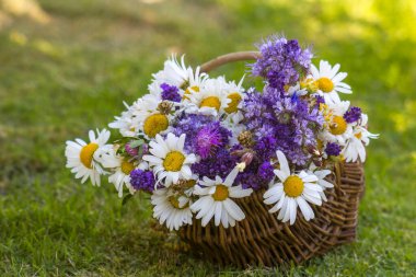 Sepetteki kır çiçekleri - yaz zamanı