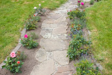 Taş döşeli bahçe yolu ve çiçekler - güller ve lavantalar