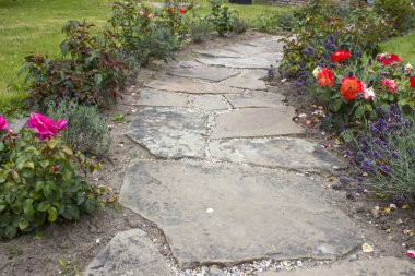 Taş döşeli bahçe yolu ve çiçekler - güller ve lavantalar