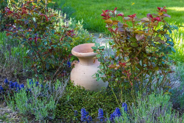 Macizo Flores Jardín Rosas Flores Lavanda Maceta Arcilla Primavera — Foto de Stock