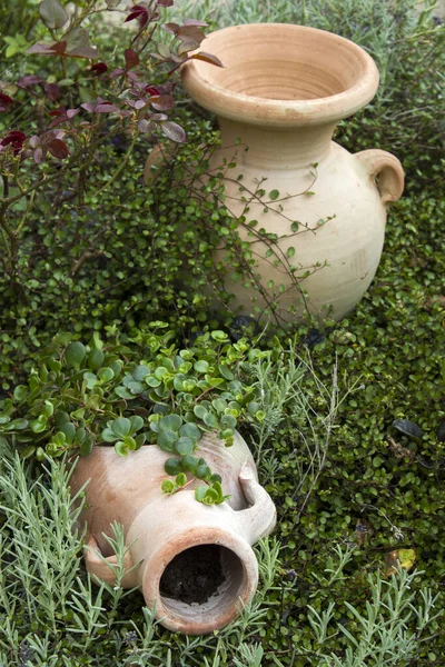Flowerbed Garden Plants Clay Pot — Φωτογραφία Αρχείου