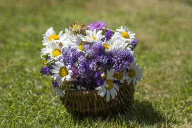 Sepetteki kır çiçekleri - yaz zamanı