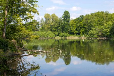 Alman kırsal alanı, Aşağı Ren Bölgesi