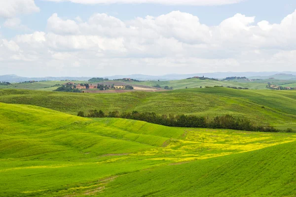 Groen Typisch Toscaans Landschap Lente Italië — Stockfoto
