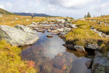 Avusturya Alpleri, Steiermark, Avusturya 'daki yeşil çayırlar üzerinde berrak bir dağ deresi