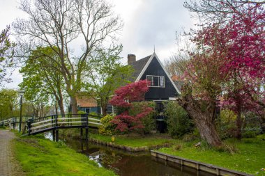 Geleneksel evler içinde tarihi köy, Zaanse Schans'a Hollanda Zaan Nehri üzerinde