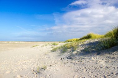 Kum tepeleri, Renesse, Zeeland, Hollanda