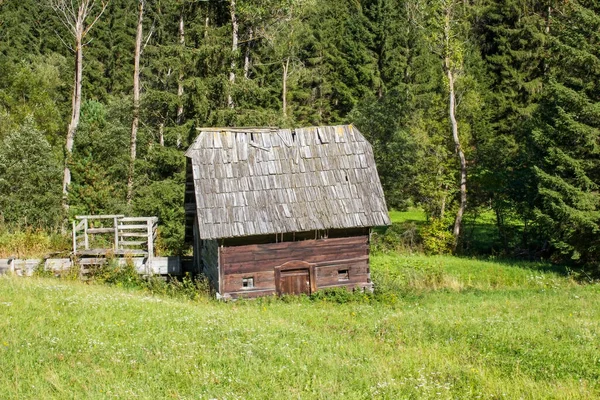View Barn House Surrounded Green Field East Tyrol Austria — Stock Photo, Image