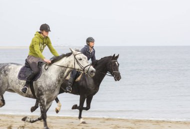 RENESSE - OKTOBER 21 2018: Hollanda, Zeeland, Renesse sahilinde bilinmeyen biniciler