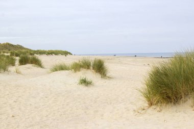 Renesse 'deki kum tepeleri, Hollanda' daki Zeeland.