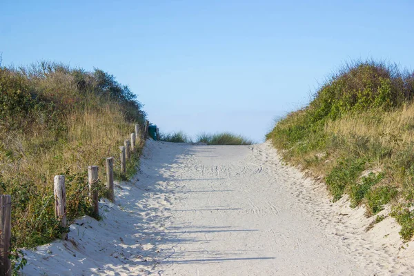 Camino Través Las Dunas Renesse Zelanda Los Países Bajos — Foto de Stock