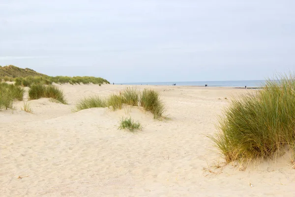 Renesse 'deki kum tepeleri, Hollanda' daki Zeeland.