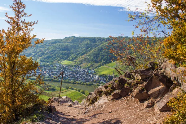 Moselle Folyó Németországban Kilátás Bremm Falu Mosel Folyó Völgyében Németország — Stock Fotó