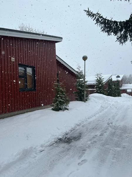 Karlı bir günde görüldü 