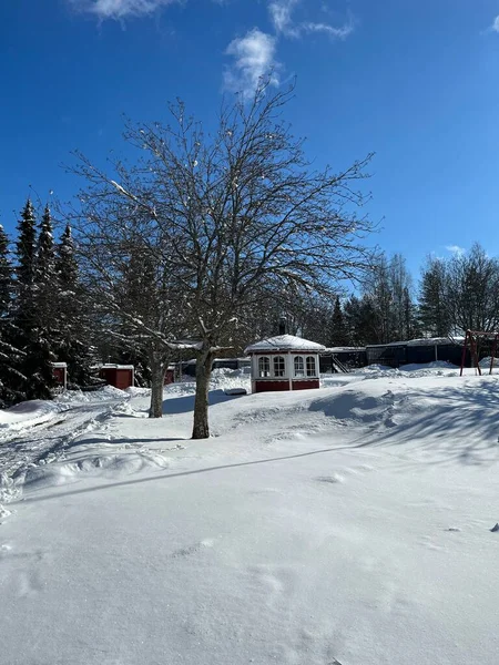 Evlerin arasında kar duruyor