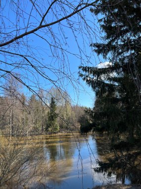 Finlandiya şehirlerinde su