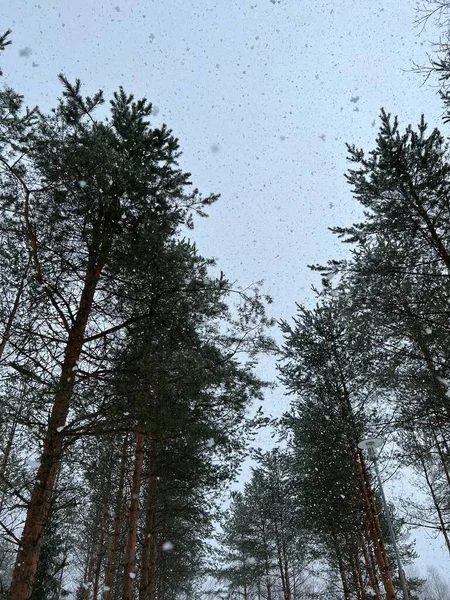 Nisan 'da karlı bir gün