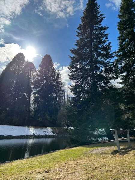 Sonunda bahar geliyor.