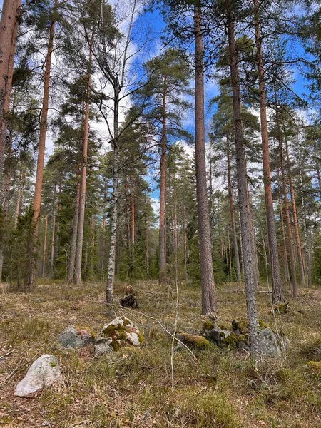 Gökyüzü ne kadar da güzel.