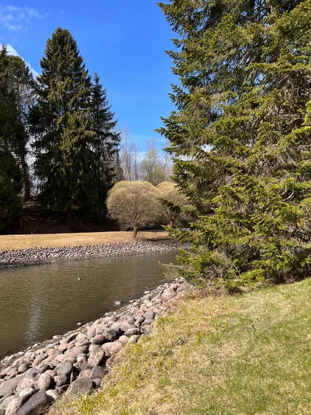 Parkta bahar sabahı