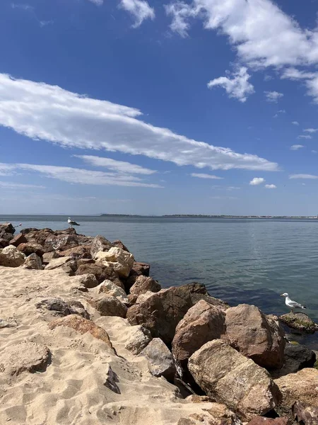 Deniz kıyısının güzel manzarası