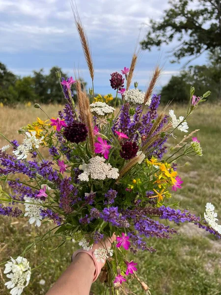 Bir buket yabani çiçek.